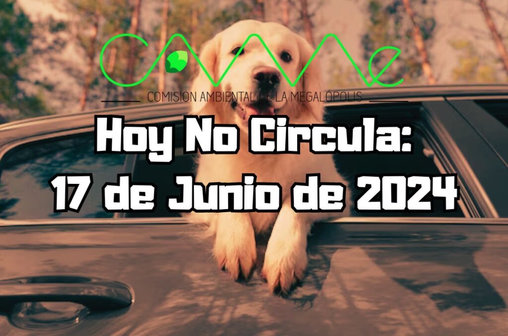 Hoy No Circula - Lunes 17 de junio de 2024