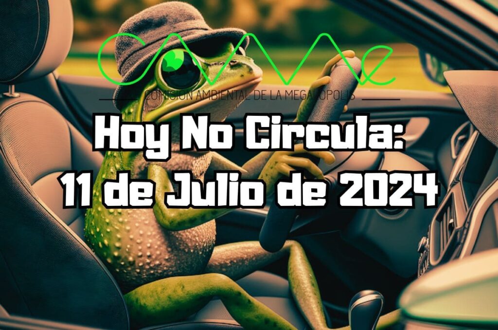 Hoy No Circula - Jueves 11 de julio de 2024