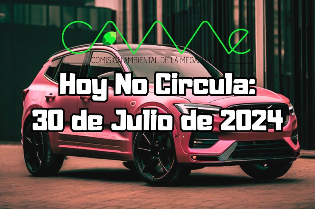 Hoy No Circula - Martes 30 de julio de 2024