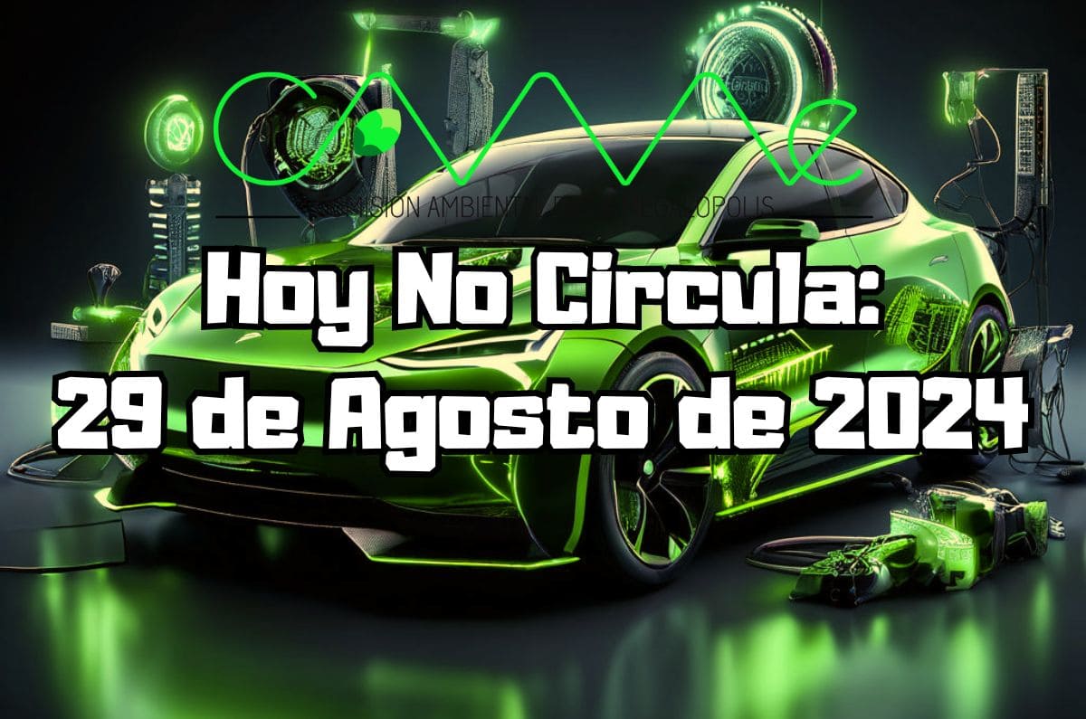 Hoy No Circula: Jueves 29 de agosto de 2024