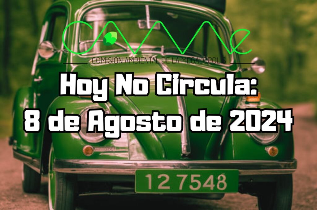 Hoy No Circula - Jueves 8 de agosto de 2024