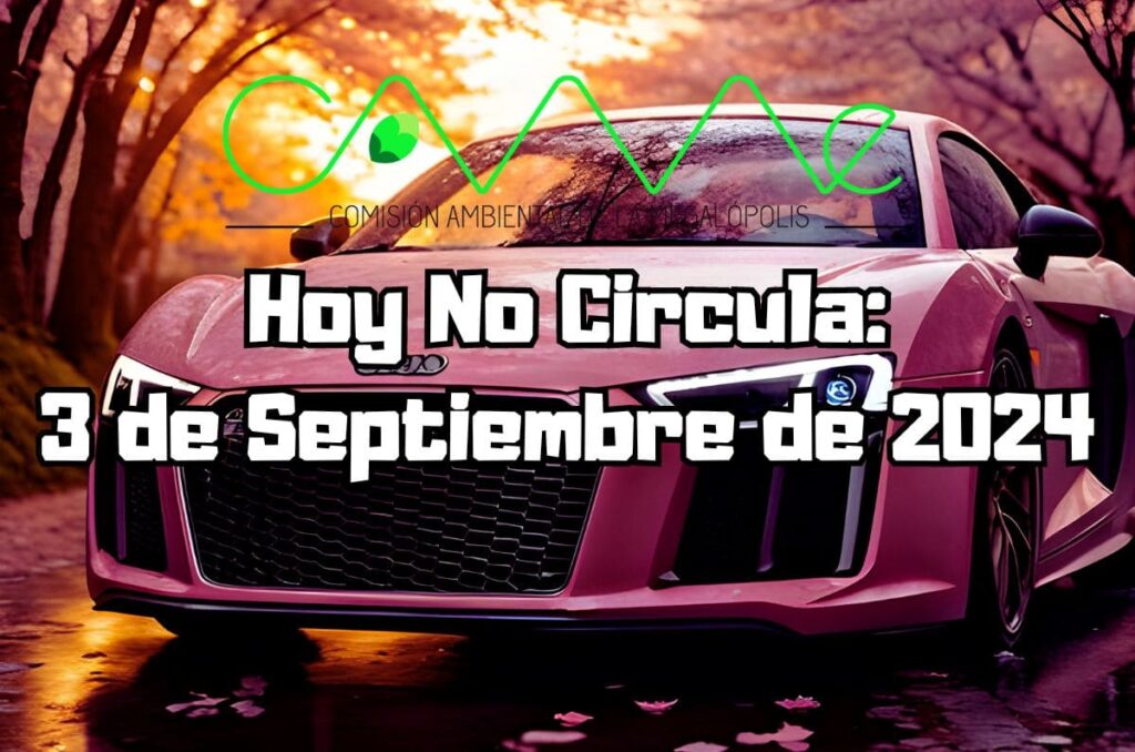 Hoy No Circula - Martes 3 de septiembre de 2024