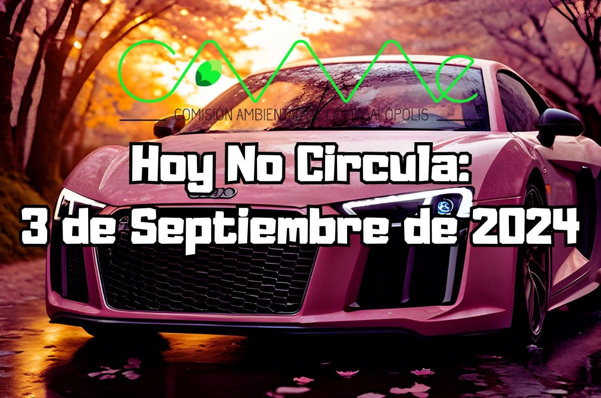 Hoy No Circula: Martes 3 de septiembre de 2024