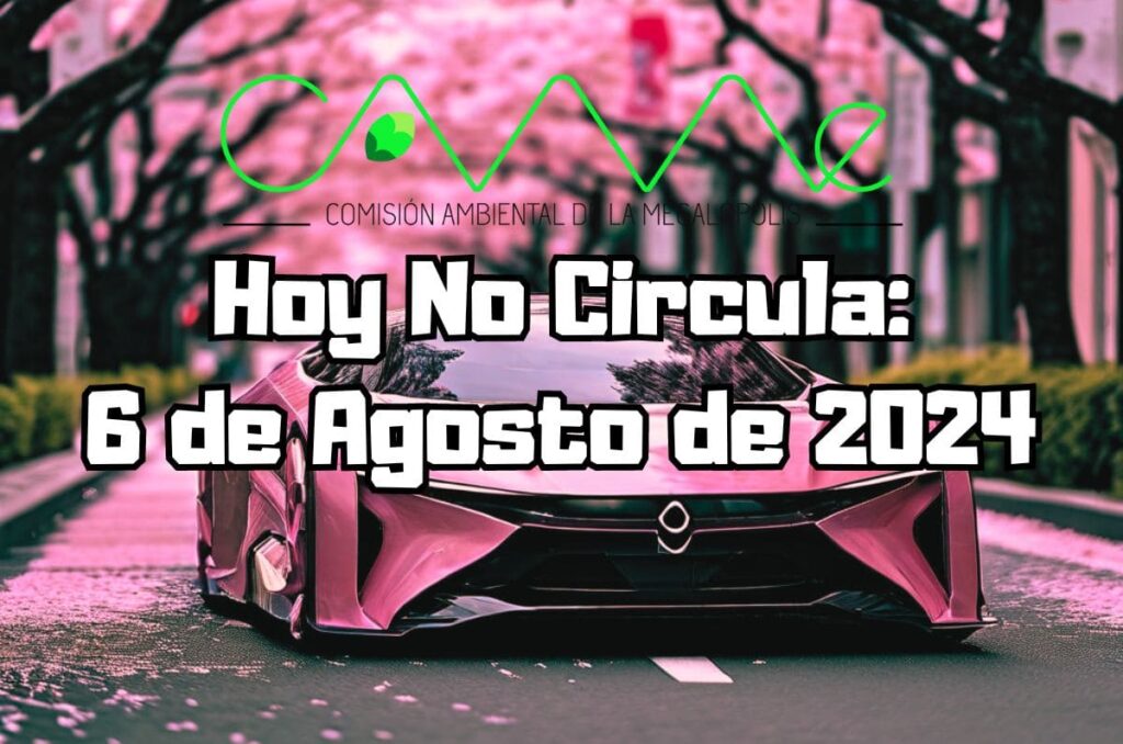 Hoy No Circula - Martes 6 de agosto de 2024