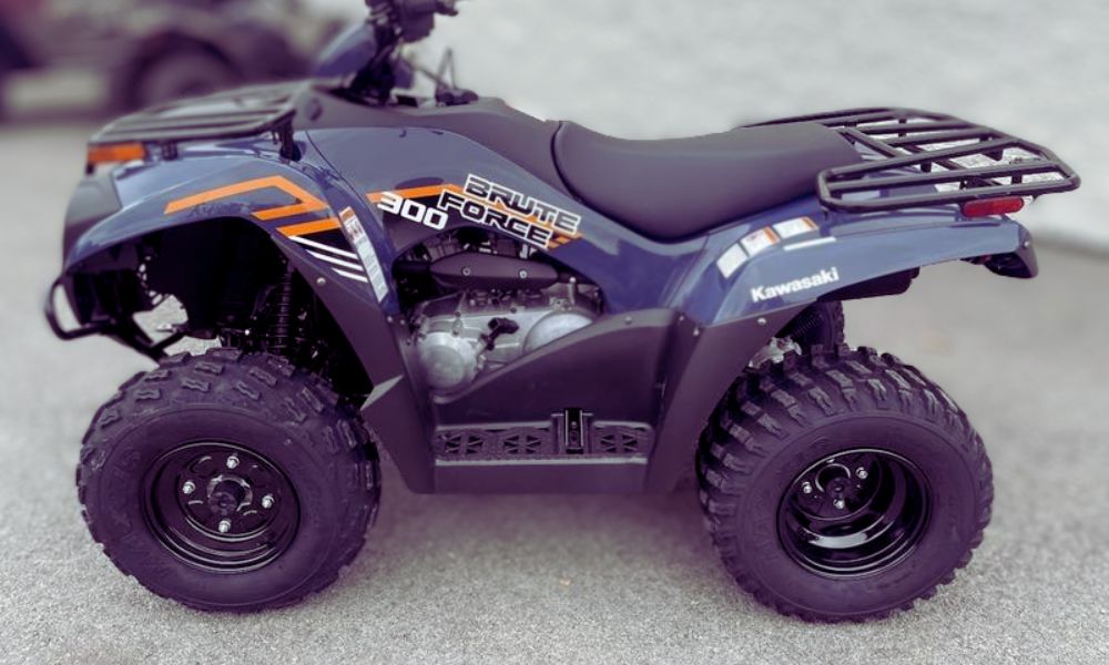 ATV Brute Force 300