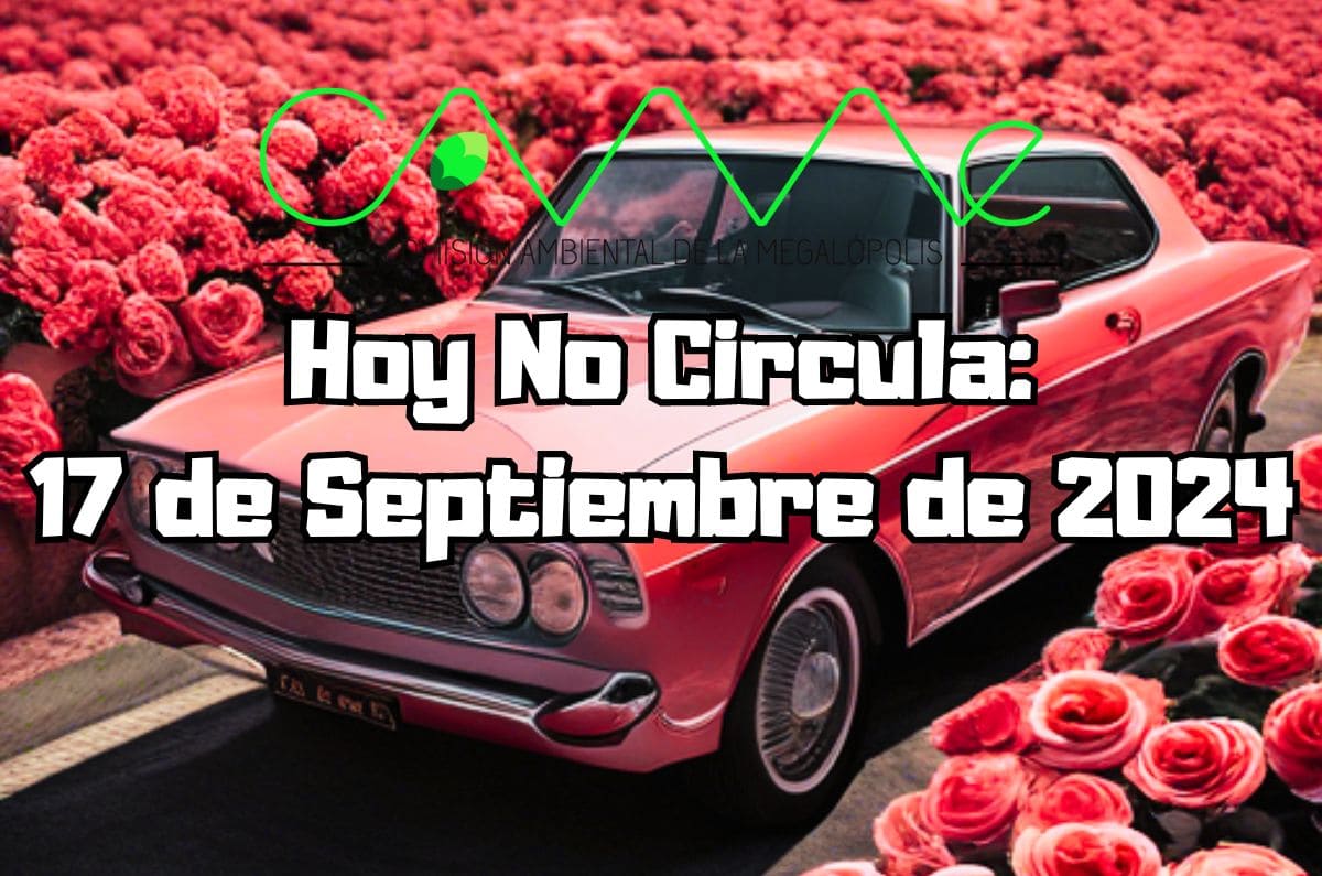 Hoy No Circula: Martes 17 de septiembre de 2024