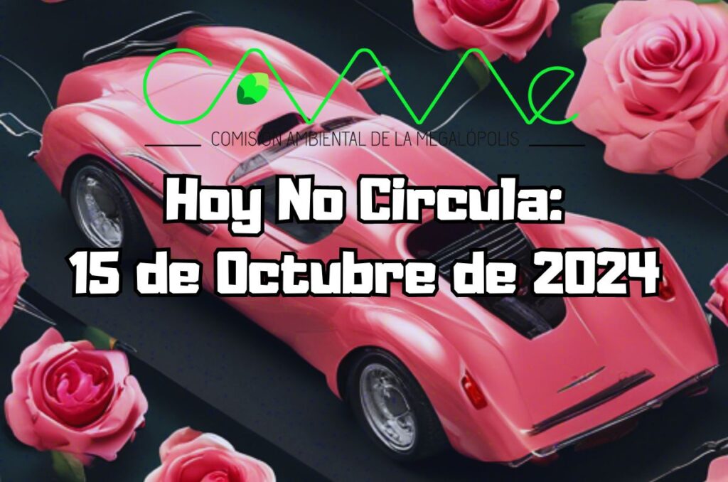 Hoy No Circula - Martes 15 de octubre de 2024