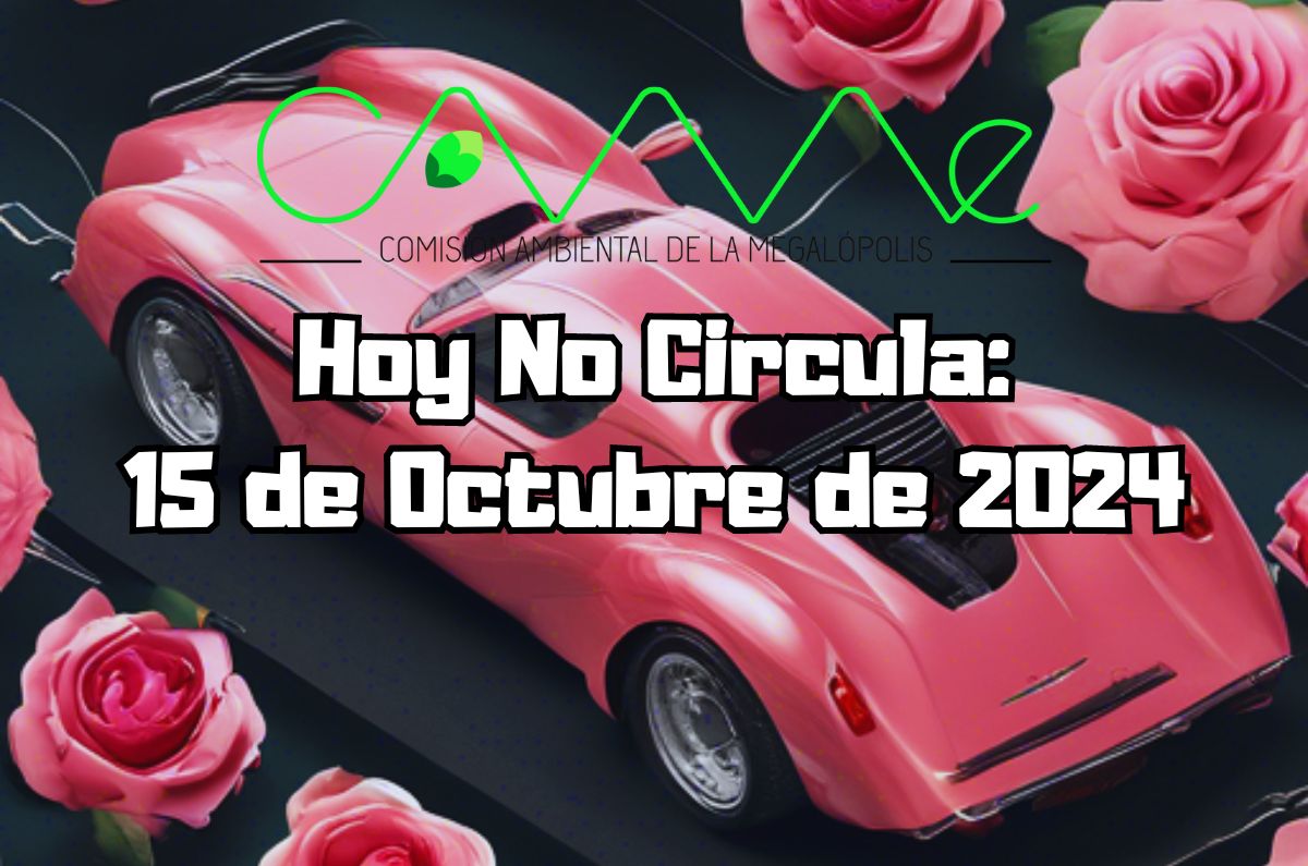 Hoy No Circula: Martes 15 de octubre de 2024