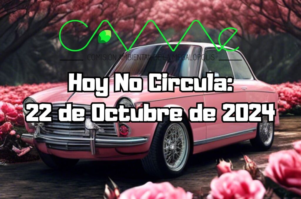 Hoy No Circula - Martes 22 de octubre de 2024