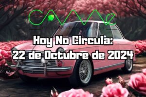 Hoy No Circula: Martes 22 de octubre de 2024