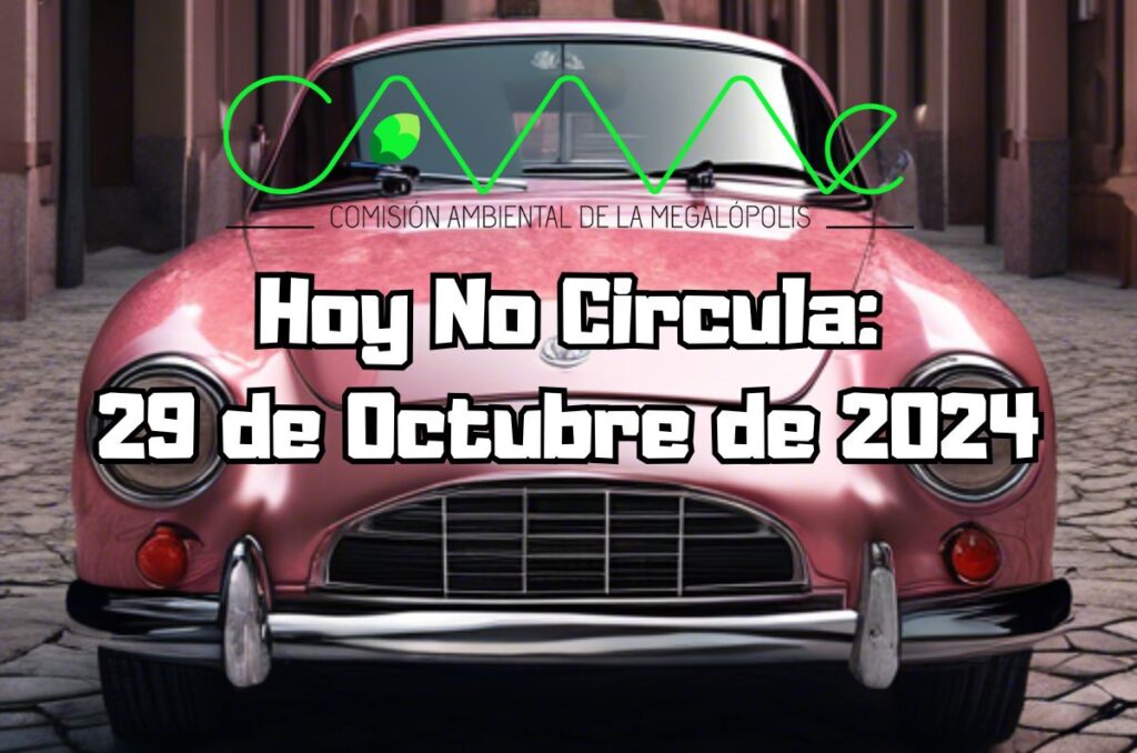 Hoy No Circula - Martes 29 de octubre de 2024