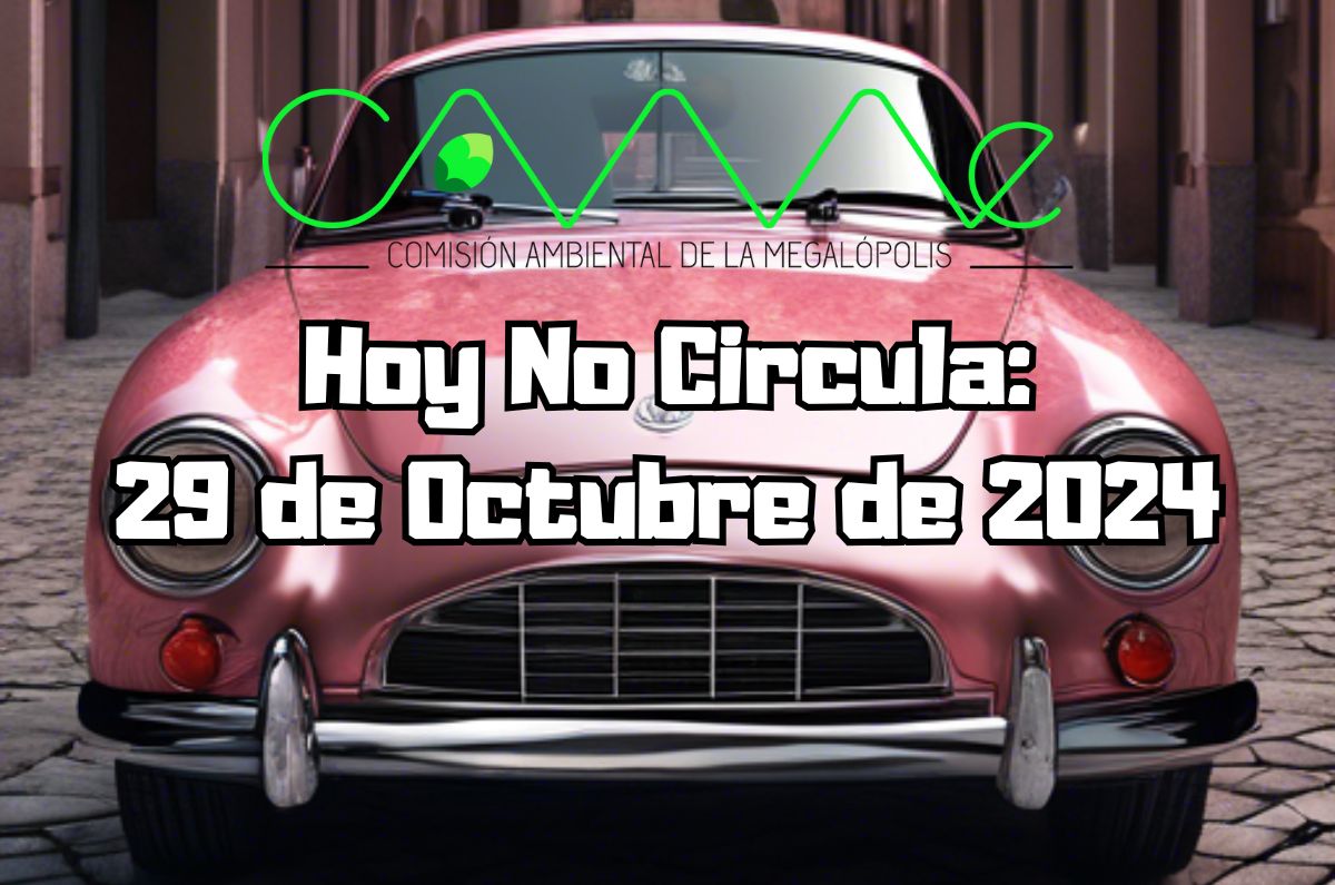 Hoy No Circula: Martes 29 de octubre de 2024