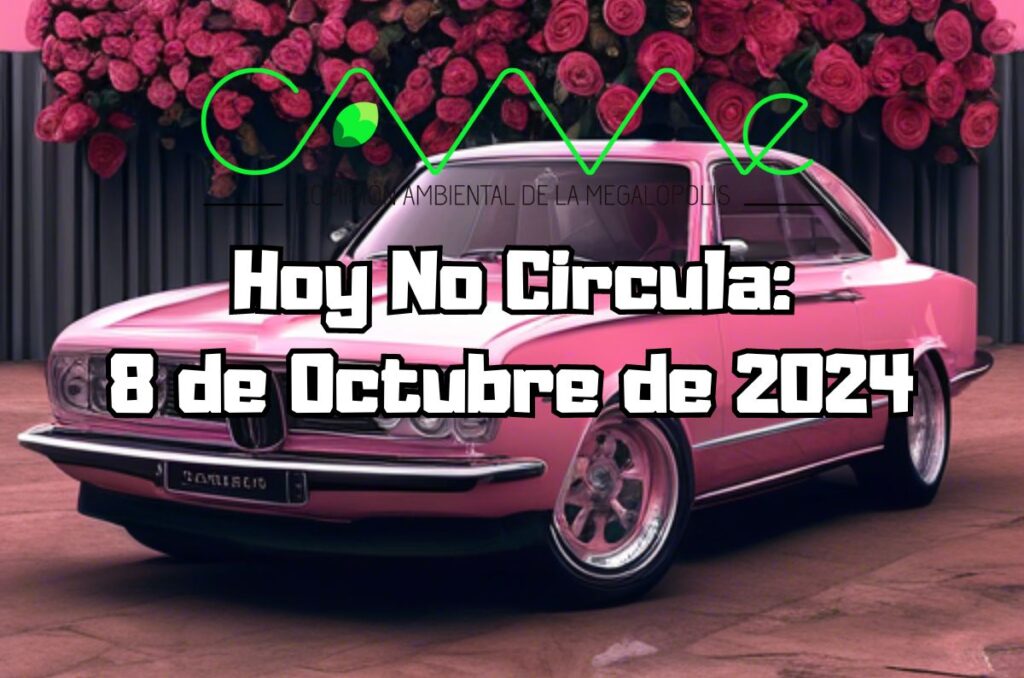 Hoy No Circula - Martes 8 de octubre de 2024