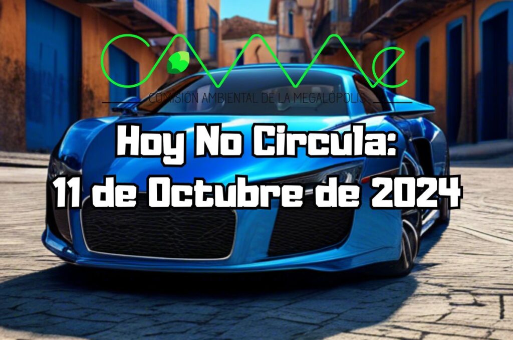 Hoy No Circula - Viernes 11 de octubre de 2024