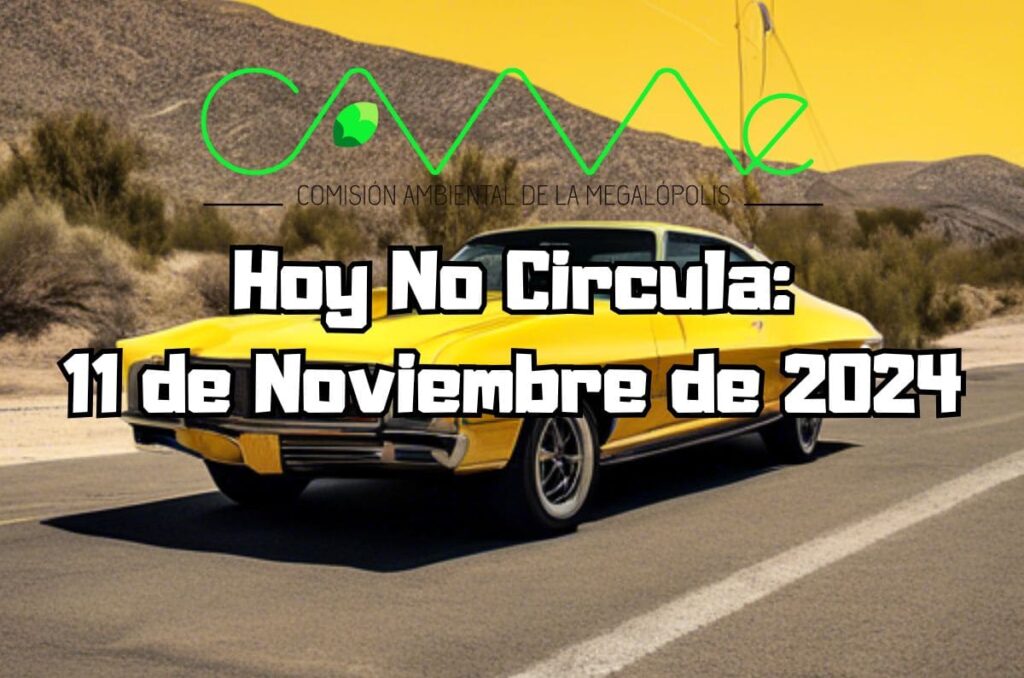 Hoy No Circula - Lunes 11 de noviembre de 2024