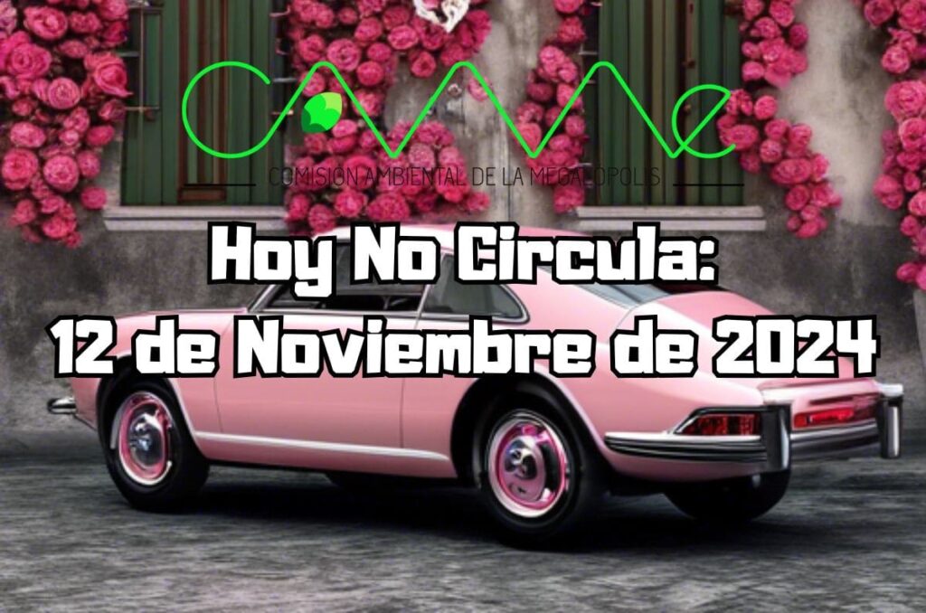 Hoy No Circula - Martes 12 de noviembre de 2024