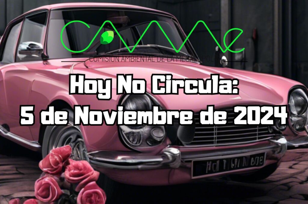 Hoy No Circula - Martes 5 de noviembre de 2024