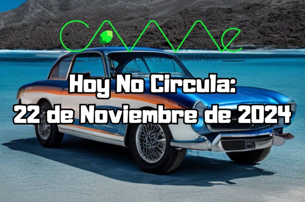 Hoy No Circula - Viernes 22 de noviembre de 2024