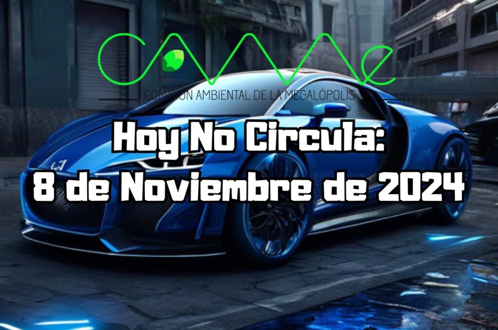 Hoy No Circula - Viernes 8 de noviembre de 2024