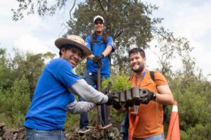 <strong>Ford y el Impacto Ambiental</strong>